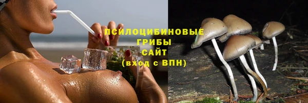 метадон Богданович