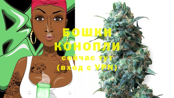 метадон Богданович