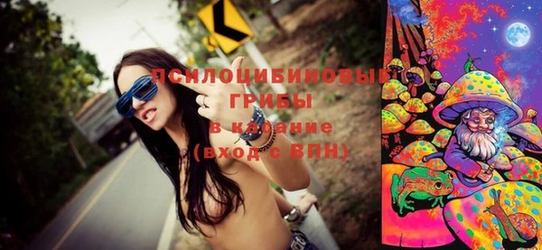 герыч Богородск