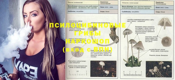 метамфетамин Богородицк